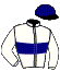 Casaque du jockey de Great Spirit