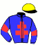 Casaque du jockey de Sully