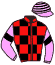 Casaque du jockey de Narnia De L'Isle