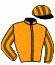 Casaque du jockey de Marquise D'Yvel
