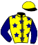 Casaque du jockey de Eagle Emblem
