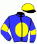 Casaque du jockey de Grey Reign
