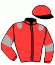 Casaque du jockey de Irina De Montceau