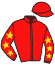 Casaque du jockey de Maestro Behem