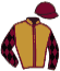 Casaque du jockey de Vyshyvanka