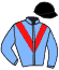 Casaque du jockey de Tizian