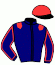 Casaque du jockey de Mantille Vrie
