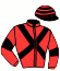 Casaque du jockey de Georginela
