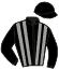 Casaque du jockey de Pingo