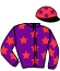Casaque du jockey de Noble Barra