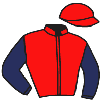 Casaque du jockey de Le Doc