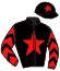 Casaque du jockey de San Teodorico