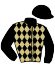 Casaque du jockey de Hollywood Africans
