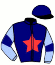 Casaque du jockey de Lobby Meslois