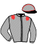 Casaque du jockey de Galeo Venus