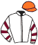 Casaque du jockey de Bo Daddy
