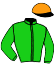 Casaque du jockey de Kingori