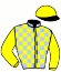 Casaque du jockey de Hussardwicz