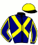 Casaque du jockey de Viscount