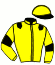 Casaque du jockey de Jade El Sol