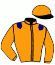 Casaque du jockey de Royalties