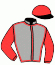 Casaque du jockey de Saison Froide
