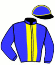 Casaque du jockey de Jacobin