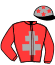 Casaque du jockey de Gipsy Du Jouan