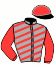 Casaque du jockey de Idole De Bergault