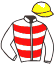 Casaque du jockey de Andresy