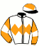 Casaque du jockey de Noria De L'Aigle