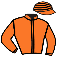 Casaque du jockey de Lubiana