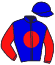 Casaque du jockey de Rosa Bonheur