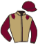 Casaque du jockey de Mister Geo