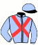 Casaque du jockey de Monsieur Malherbe