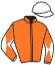Casaque du jockey de Numerus Borget
