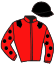 Casaque du jockey de Vogue A L'Ame
