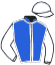 Casaque du jockey de Ripley