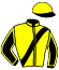Casaque du jockey de Blue Ocean Dream