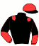 Casaque du jockey de Krysta De Keryann
