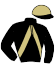 Casaque du jockey de Lucia De La Criere