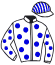 Casaque du jockey de Karting Du Vivier