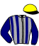 Casaque du jockey 3