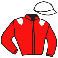Casaque du jockey de Mon Enigme