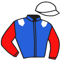 Casaque du jockey de Moss Vale