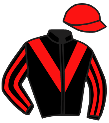 Casaque du jockey de Illico Des Bordes
