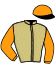 Casaque du jockey de Janvier
