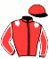 Casaque du jockey de Lady Gatsby