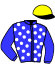 Casaque du jockey de Janis De Chenu