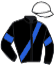 Casaque du jockey de Jupiter Delo